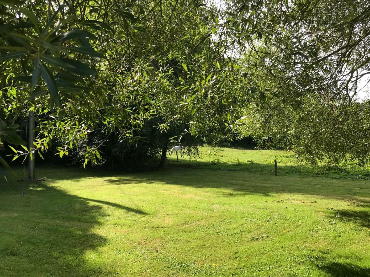 The Mews Villa Freshford Eksteriør billede
